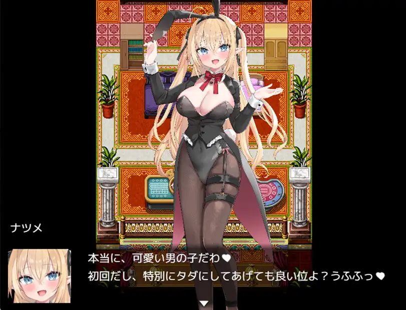 拉大车RPG/动态/新汉化丨Bunny Crisis ～兔女郎危机～ Bunny Crisis ～バニークライシス～AI汉化版【20251229】 游戏截图 3