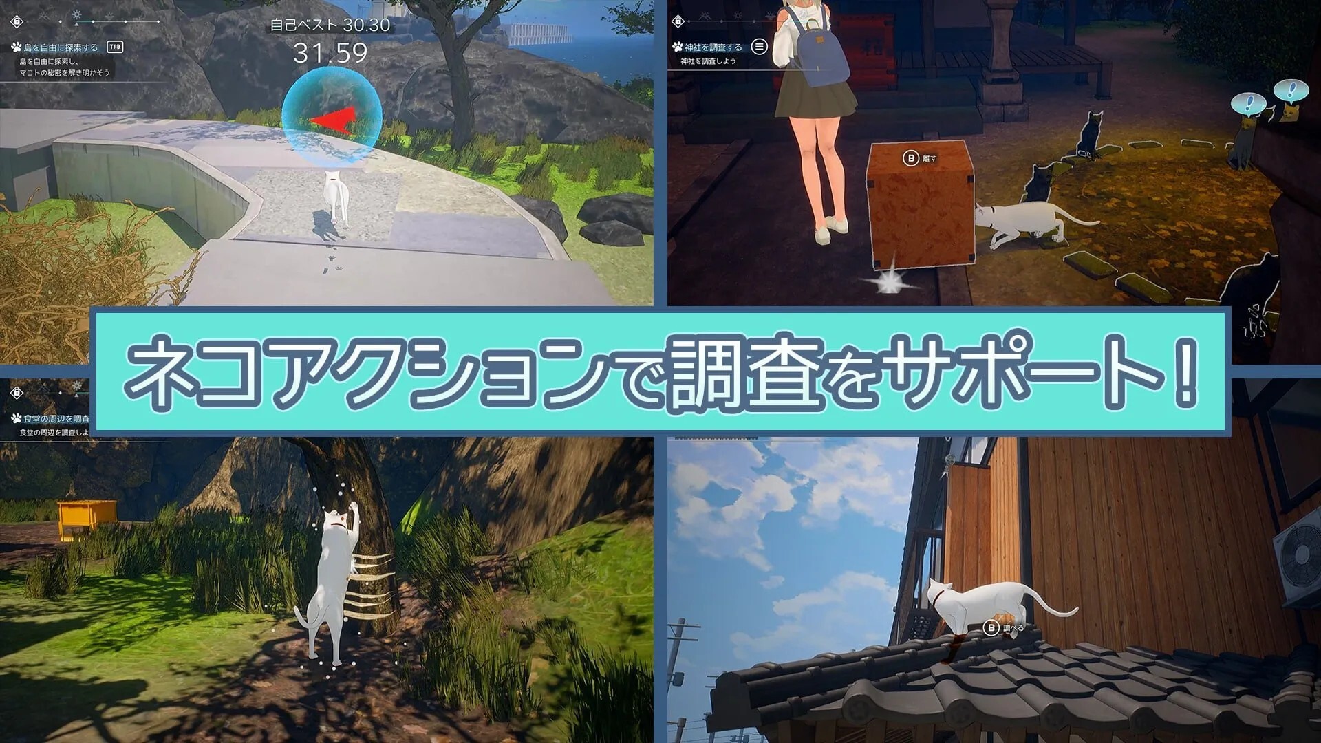 日式/ACT/3D/更新丨 猫岛雨香/猫島ペトリコール Cat Island Petrichor v1.0.3810 Steam官中步兵版 【20260524】 游戏截图 6