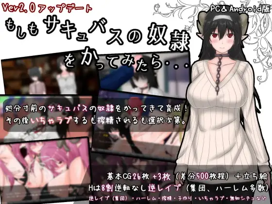 日式RPG/新汉化/双端丨如果试着买下魅魔奴隶  もしもサキュバスの奴○をかってみたら Ver2.2 【20260619】 游戏截图 7