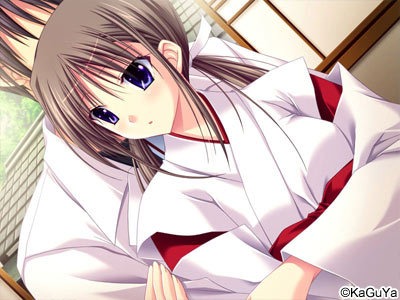 拔作ADV/汉化丨プリ☆さら ～ドキドキ×らぶらぶWファンディスク～AI汉化版+全CG存档【20250123】 游戏截图 6