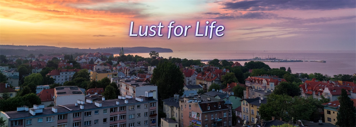 现实真人HTML浏览器汉化丨对生活的渴望：一个娘娘腔的故事 Lust for Life A Sissy Story 丨v1.0【20231005】 游戏截图 3