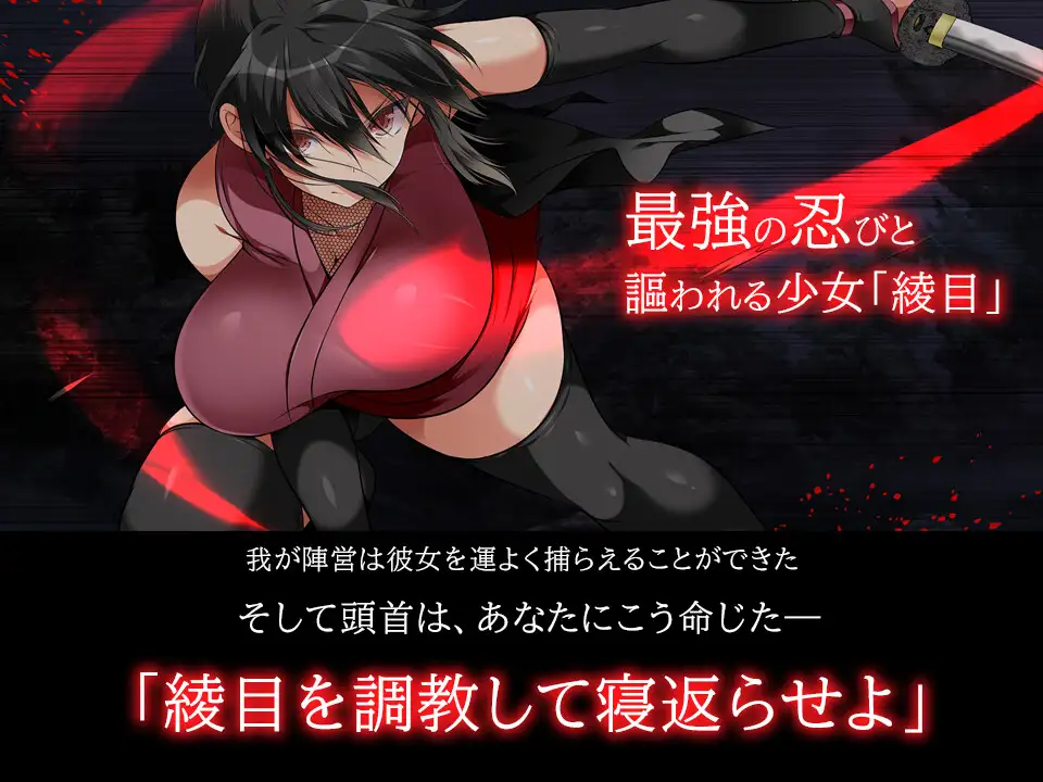 SLG/STEAM官中/步兵/新作丨忍堕－女忍调教 全回想12G【20231220】 游戏截图 8