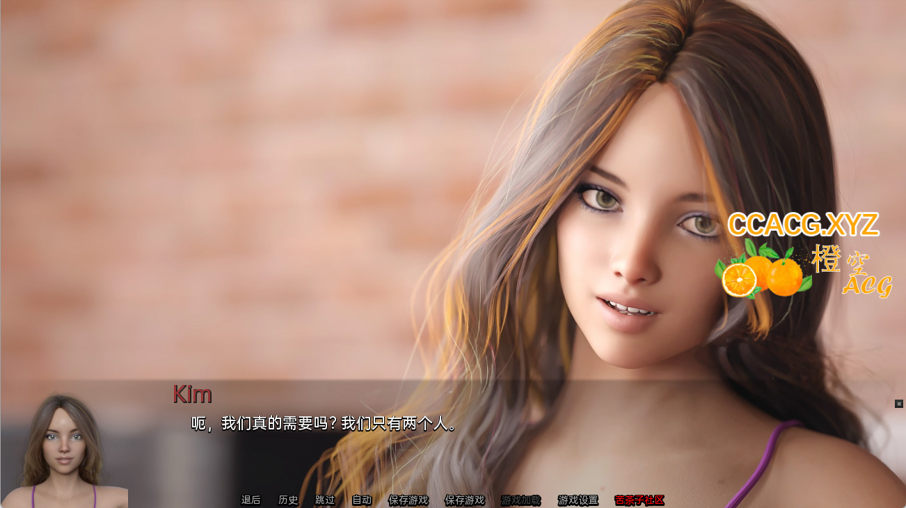 我亲爱的日记：双胞胎灾难 V1.1 双端汉化版【20221117】 游戏截图 8