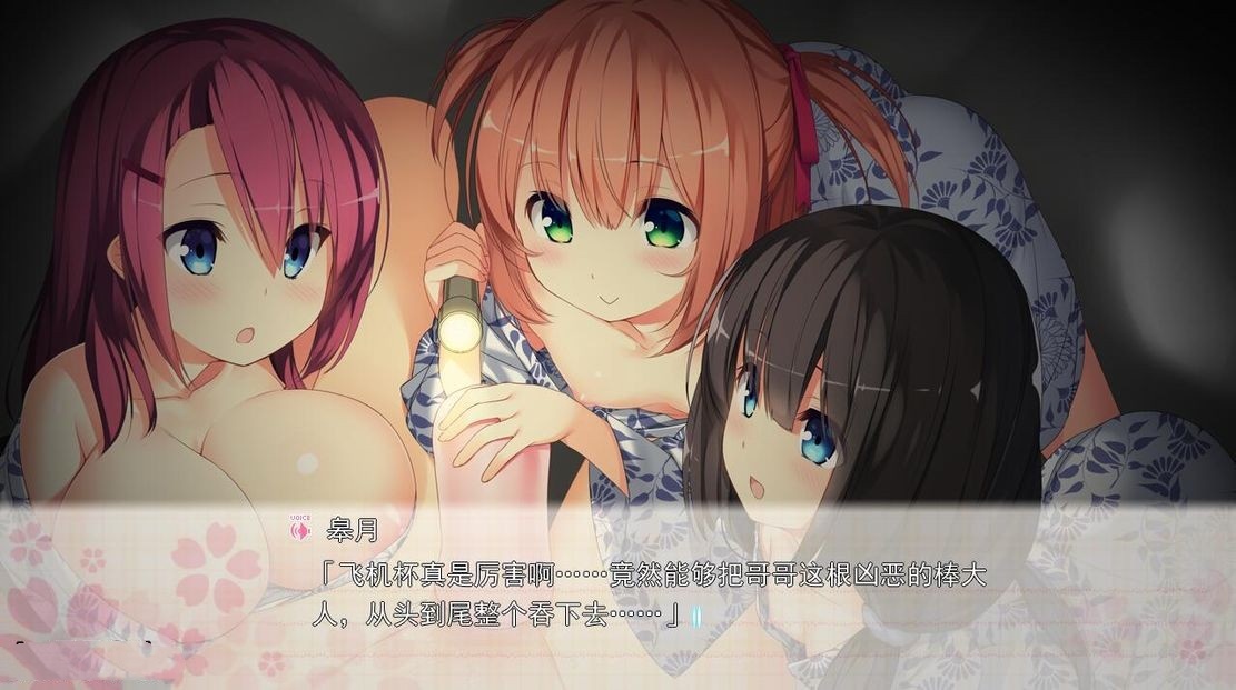日式ADV/伦理丨 和娇嫩欲滴的妹妹们一起前往情欲满满的温泉旅馆！～汉化版 【20240814】 游戏截图 8